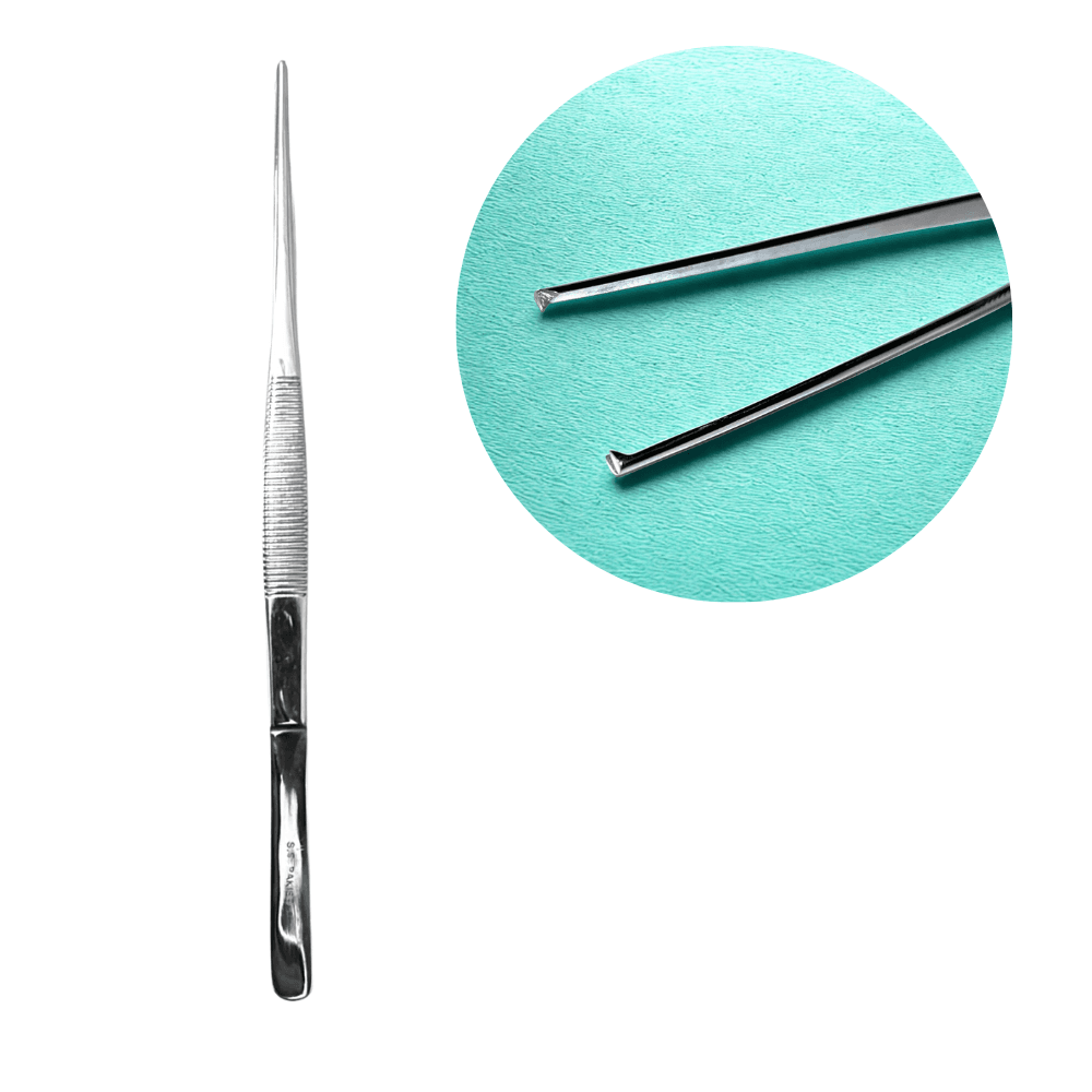 tissue forceps 7 inch