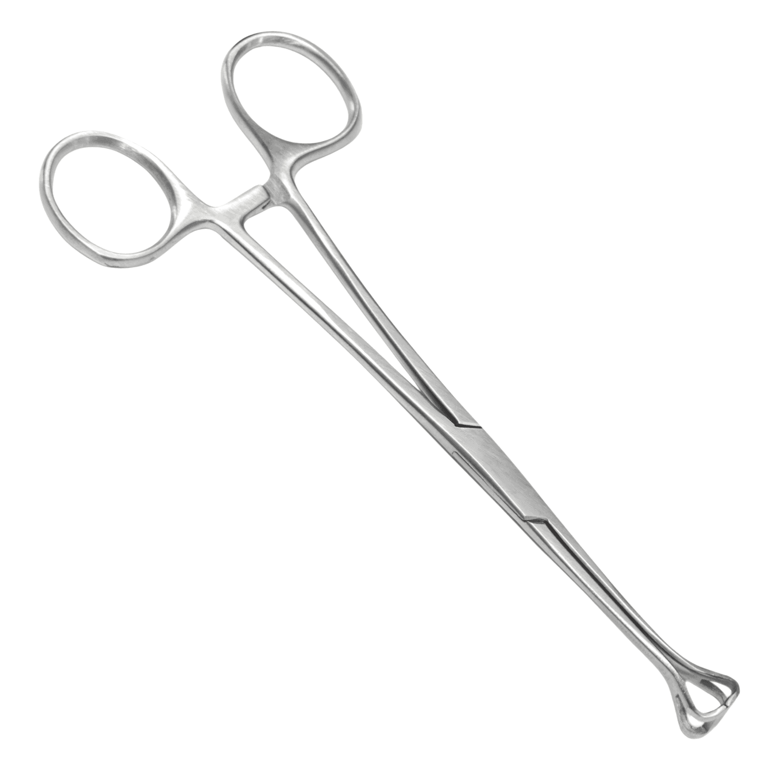 Babcock Forceps 10"