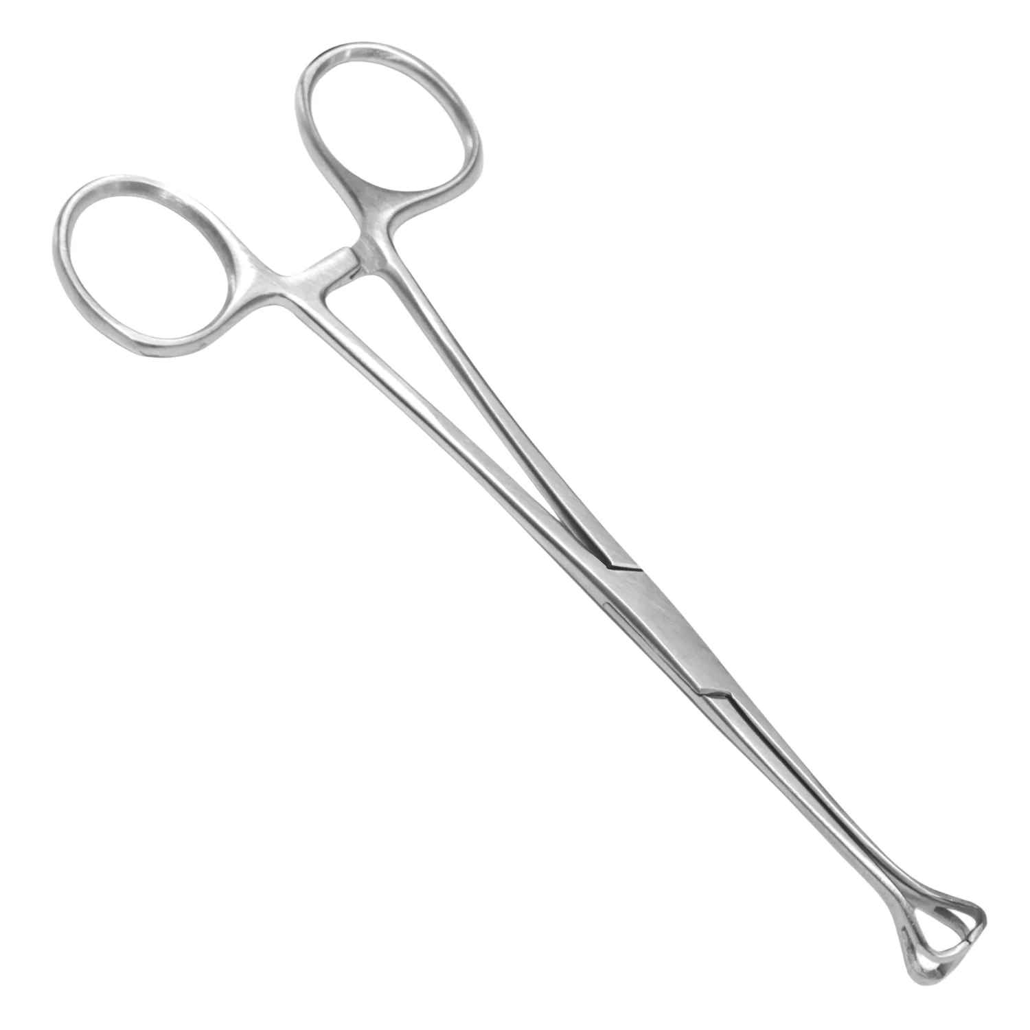 Babcock Forceps 10"